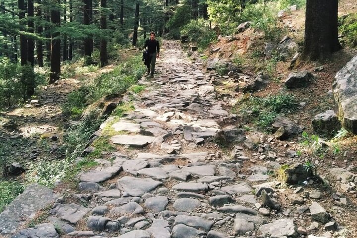 Hiking Day Tour to Triund from Dharamshala