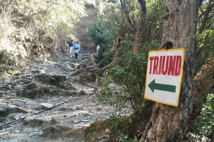Hiking Day Tour to Triund from Dharamshala