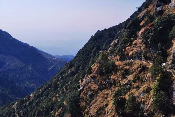 Hiking Day Tour to Triund from Dharamshala