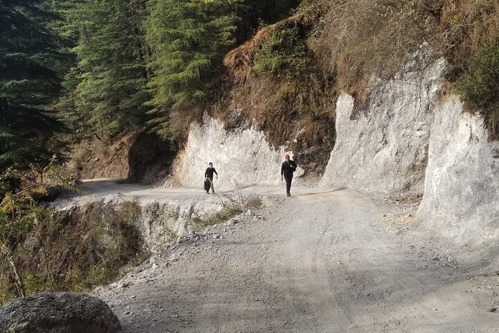 Hiking Day Tour to Triund from Dharamshala