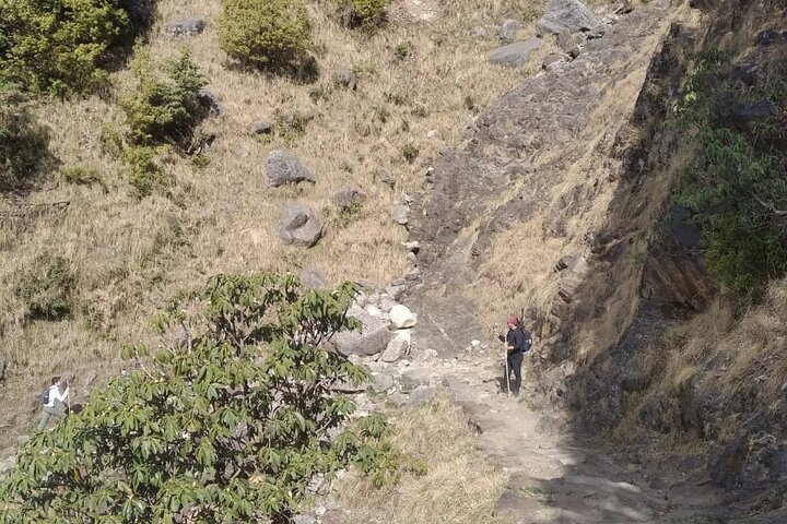 Hiking Day Tour to Triund from Dharamshala