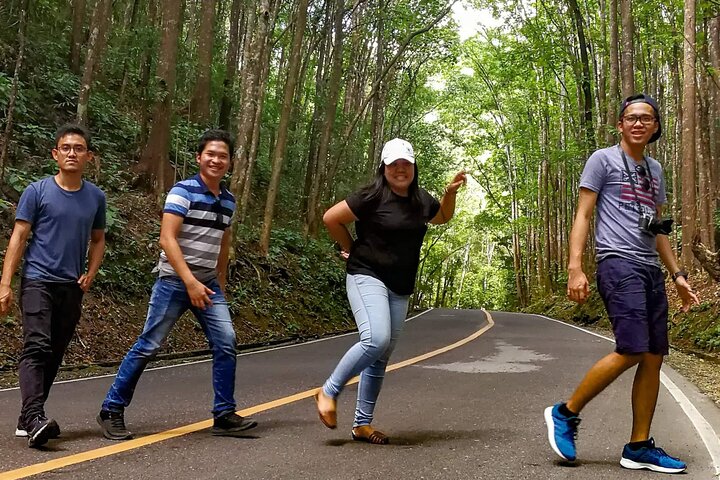2026 Affordable Bohol: Tarsier Sanctuary & Chocolate Hills