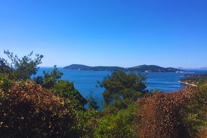 Princes' Islands ( Büyükada ) E-bike Tour