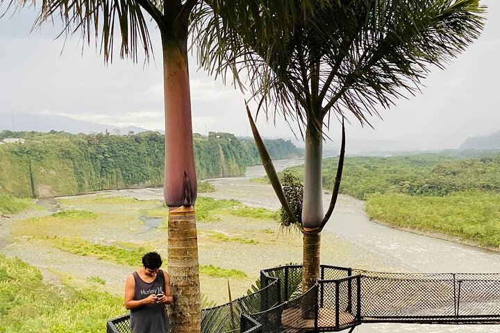 Puyo Amazon Full Day Tour | Ecuador Jungle Adventure