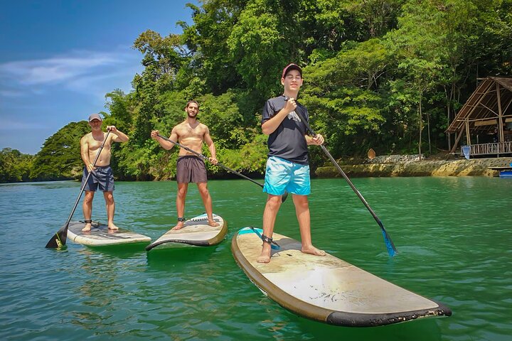 Bohol Countryside Tour: Chocolate Hills, Tarsier and Loboc River