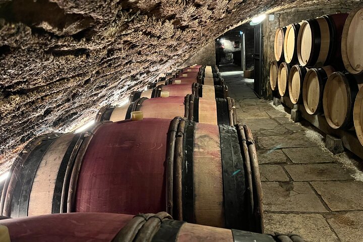 Burgundy Grand Crus Route Day Tour - 14 Wines Tastings in Domains