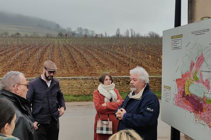 Burgundy Grand Crus Route Day Tour - 14 Wines Tastings in Domains