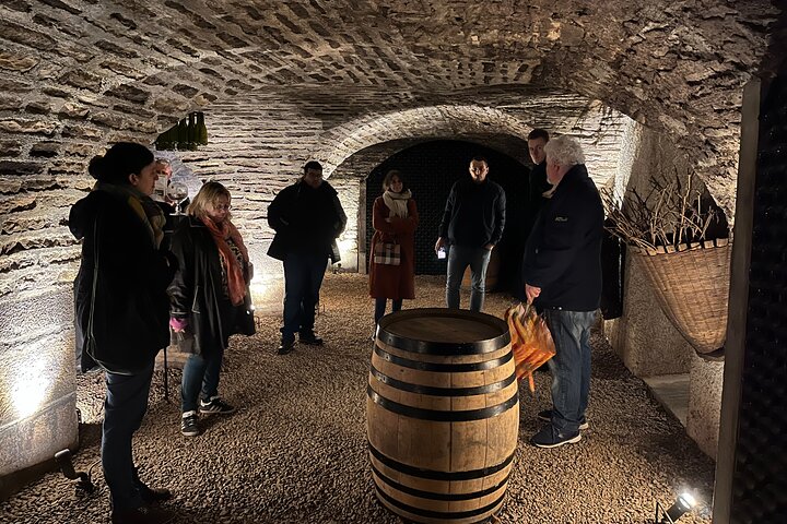 Burgundy Grand Crus Route Day Tour - 14 Wines Tastings in Domains