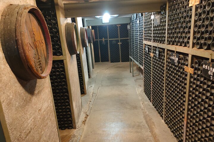 Burgundy Grand Crus Route Day Tour - 14 Wines Tastings in Domains
