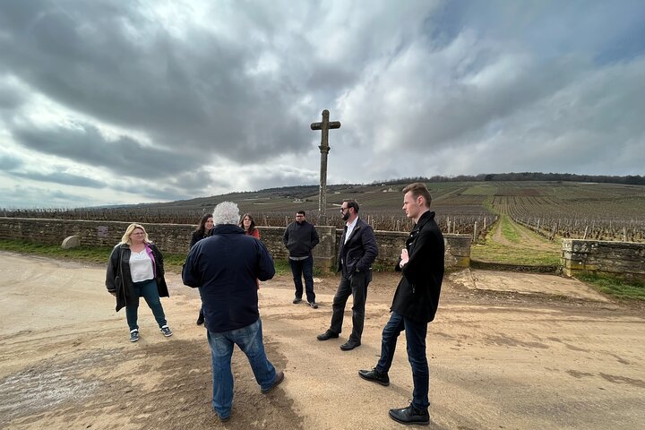Burgundy Grand Crus Route Day Tour - 14 Wines Tastings in Domains