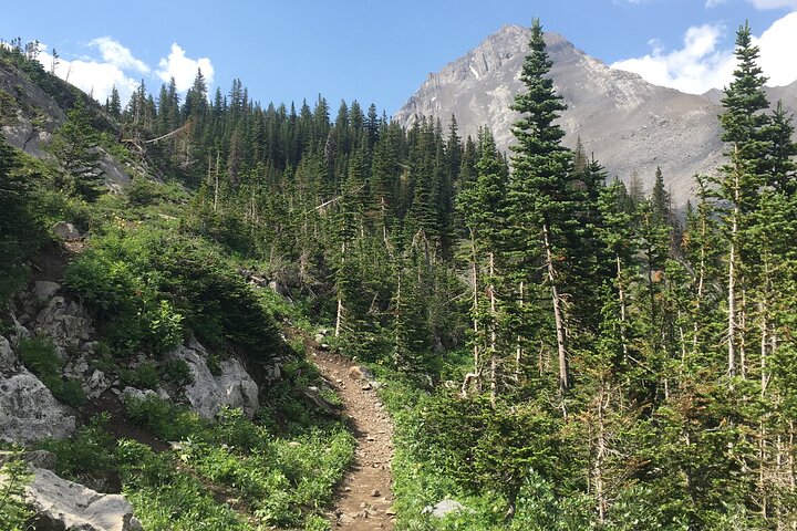 Paget Lookout and Sherbrooke Lake