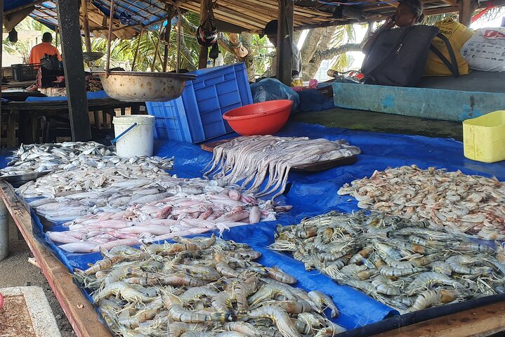 Galle day tour - Colombo to Galle trip - All Included