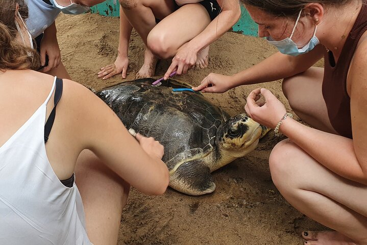 Galle day tour - Colombo to Galle trip - All Included