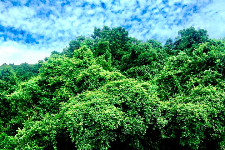 A day trip in Karongi