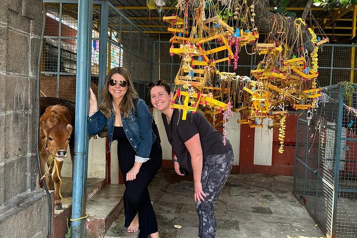 Gods of Mylapore walking tour: Journey Through Living Traditions