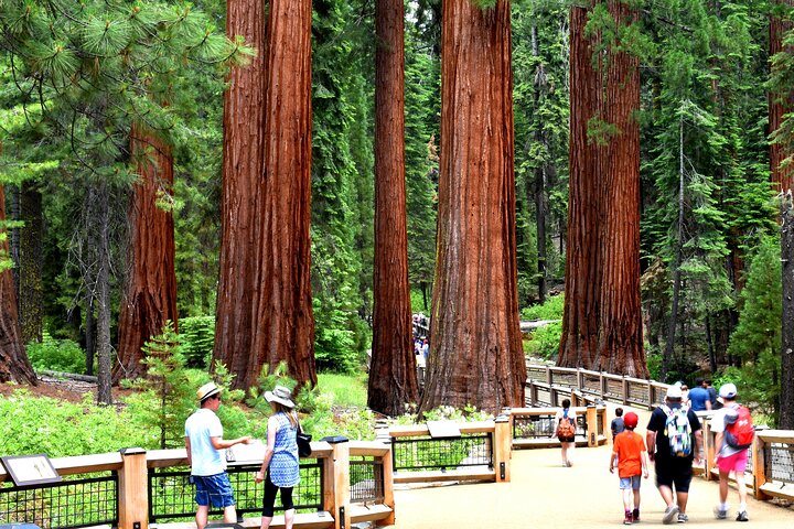 Yosemite Highlights Small Group Tour