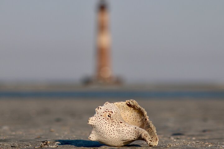 Charleston Eco Boat Cruise with stop at Morris Island Lighthouse