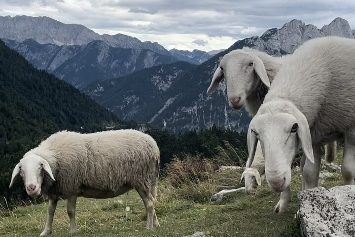 Full-Day Triglav National Park Tour from Ljubljana