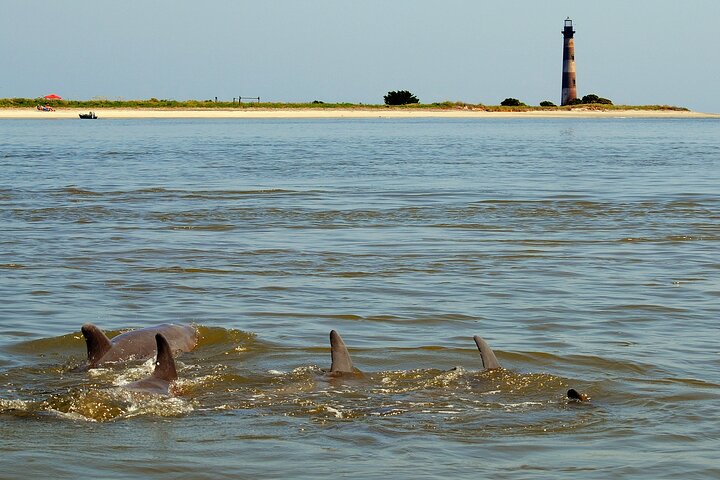 Charleston Eco Boat Cruise with stop at Morris Island Lighthouse