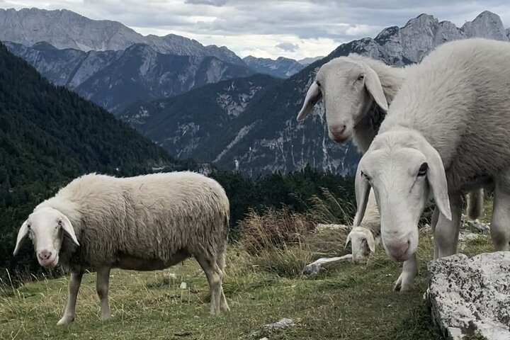 Day Trip in Triglav National Park from Bled