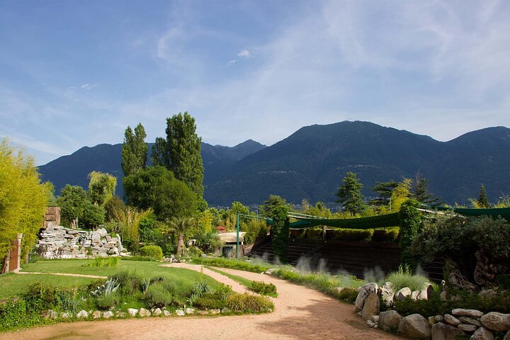 Skip the Line: Falconeria Locarno Ticket