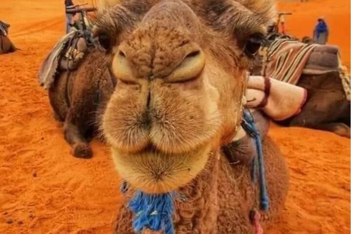3 Days Group Tour from Marrakech to Merzouga Desert