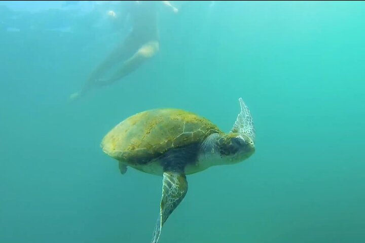 La Jolla Kayak and Snorkel Tour for two people (tandem kayak)