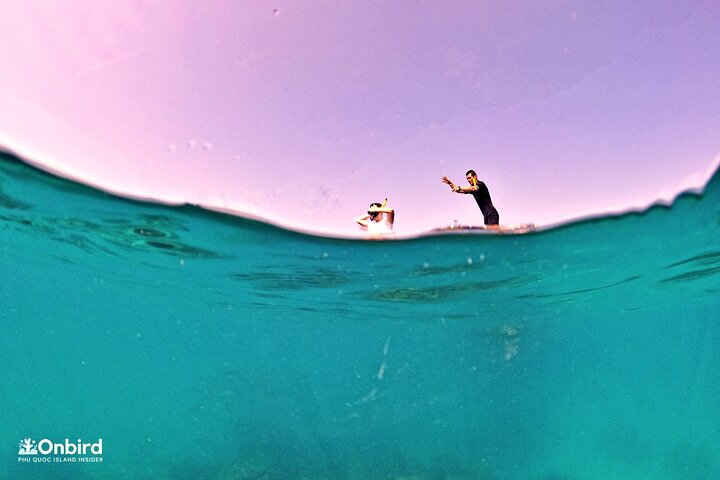 PRO-SNORKELING to Explore Hidden Coral Reefs (MAX 10 PAX)