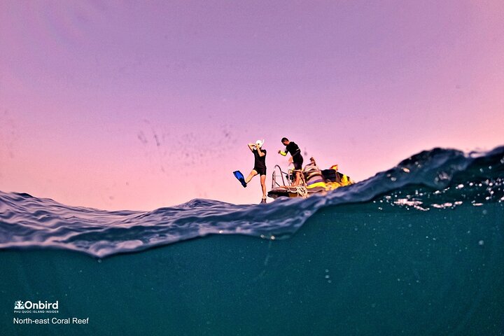 PRO-SNORKELING to Explore Hidden Coral Reefs (MAX 10 PAX)
