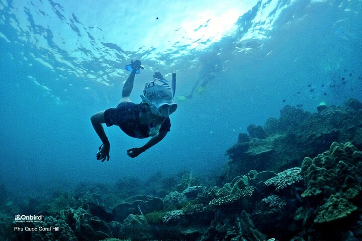 PRO-SNORKELING to Explore Hidden Coral Reefs (MAX 10 PAX)