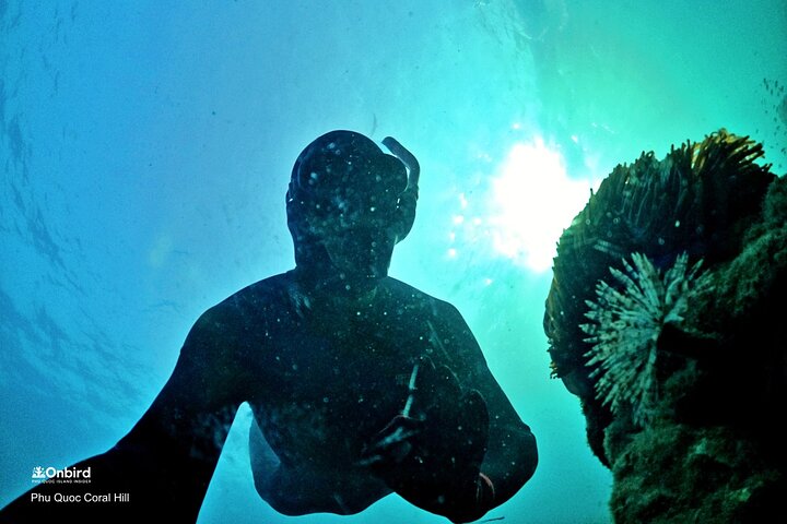 PRO-SNORKELING to Explore Hidden Coral Reefs (MAX 10 PAX)