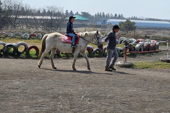 Private Tour South and West Jeju Island with Experienced Driver