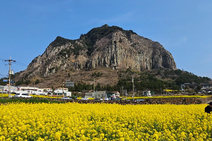 Private Tour South and West Jeju Island with Experienced Driver