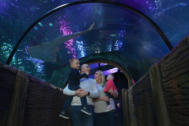 SEA LIFE Blackpool Admission Ticket