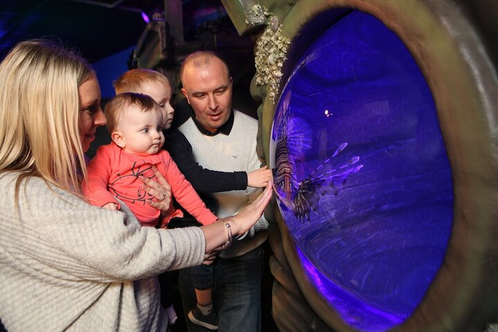 SEA LIFE Blackpool Admission Ticket