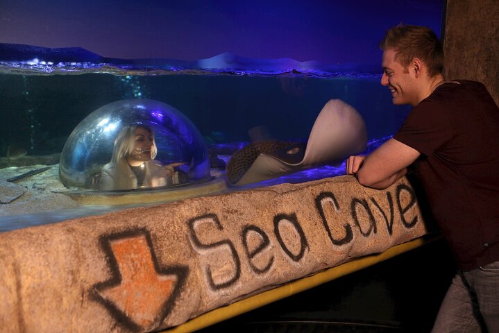 SEA LIFE Blackpool Admission Ticket