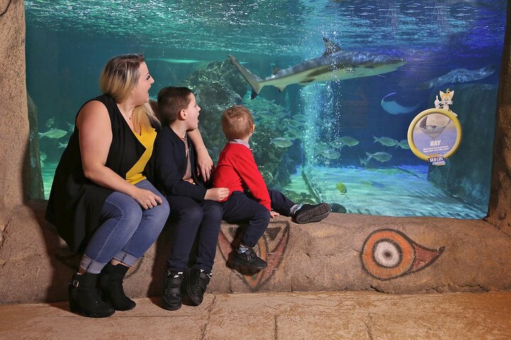 SEA LIFE Blackpool Admission Ticket