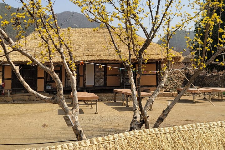Suncheon one day tour from Seoul, Busan or Suncheon