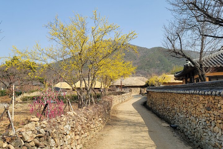 Suncheon one day tour from Seoul, Busan or Suncheon