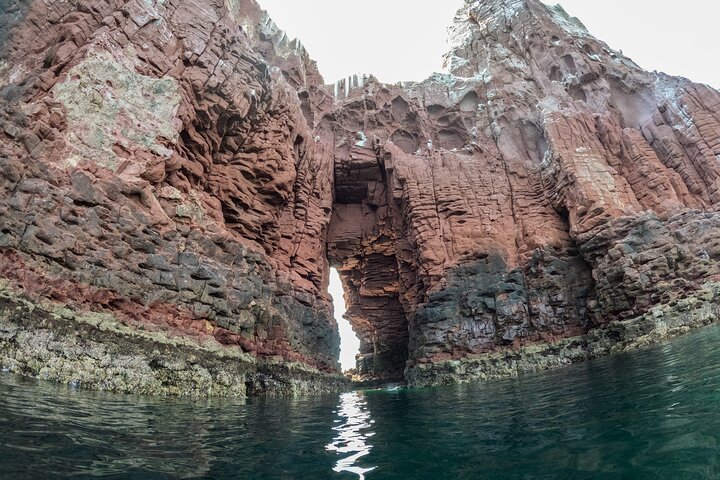 Espiritu Santo Island Snorkel & Sea Lion Adventure