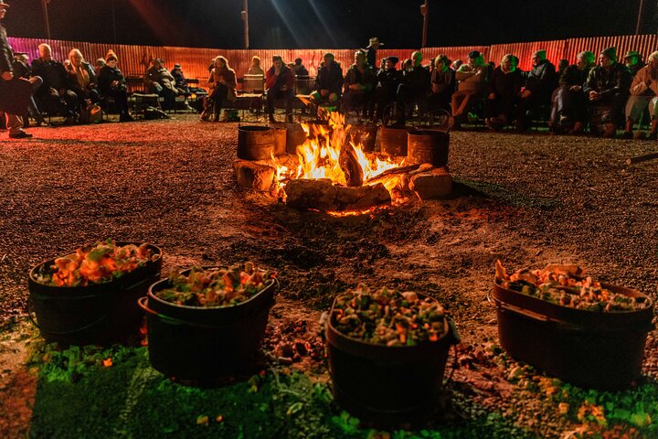 Longreach: 4-Hour Starlights Cruise Experience
