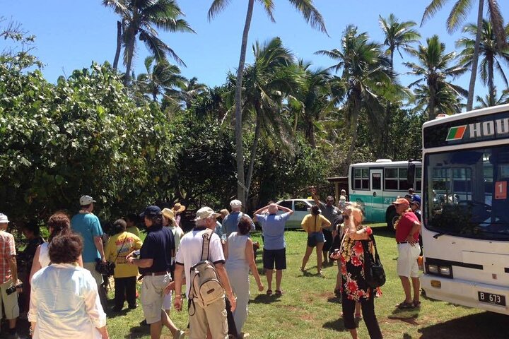 Half-Day Anahulu Cave and Cultural Tour