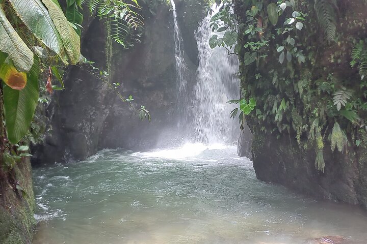 Mindo Cloud Forest: Hummingbirds, Birding & Waterfall Tour