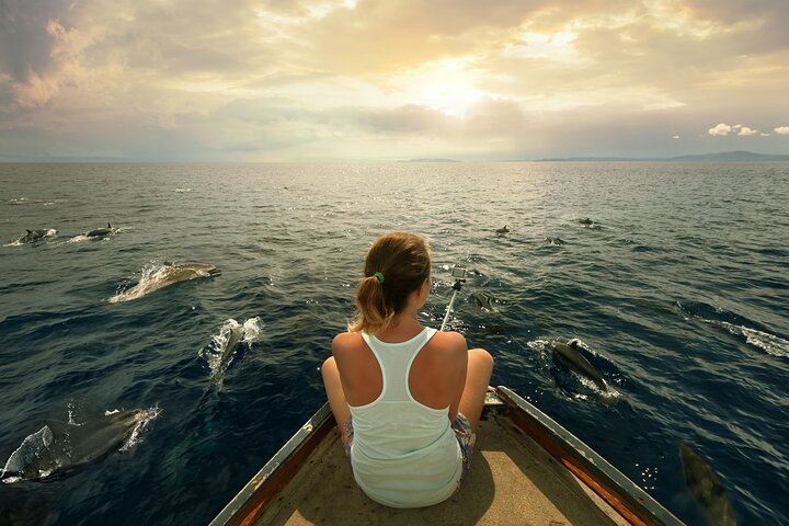 Sataya Dolphin House Snorkel Trip - Marsa Alam