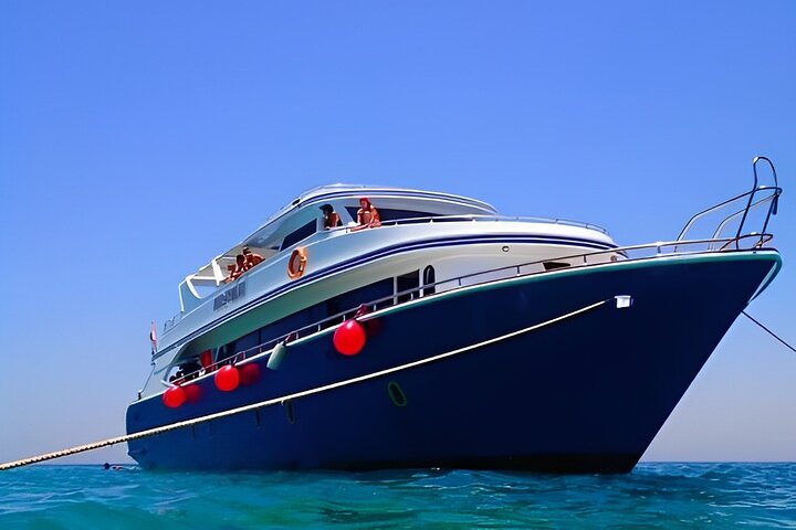 Sataya Dolphin House Snorkel Trip - Marsa Alam