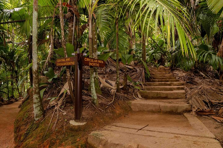 Vallee de Mai Tour (From Praslin)