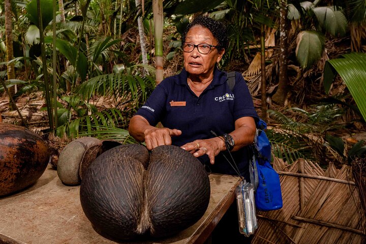 Vallee de Mai Tour (From Praslin)