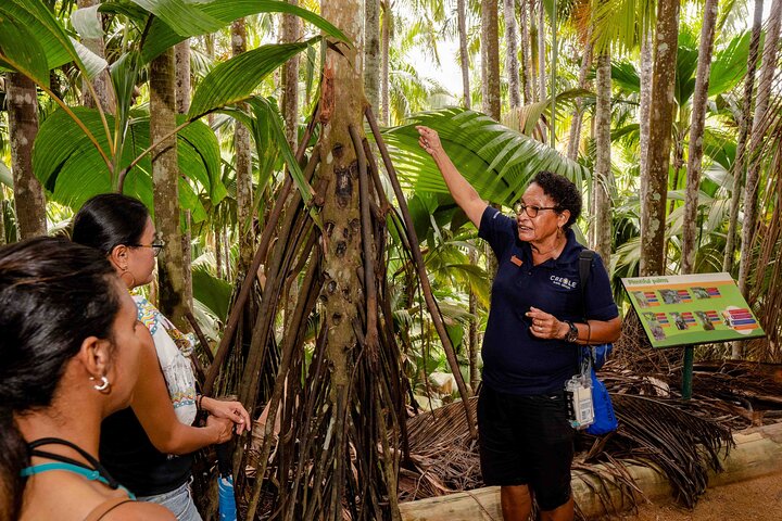 Vallee de Mai Tour (From Praslin)