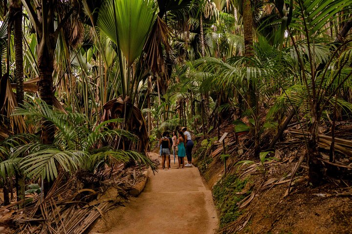 Vallee de Mai Tour (From Praslin)