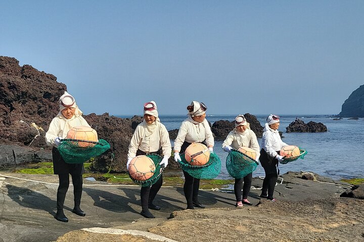 Private Tour in South and East in jeju island
